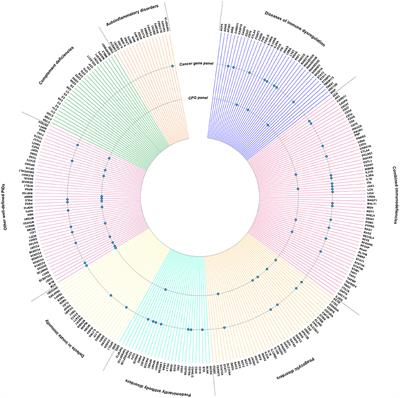 Genes at the Crossroad of Primary Immunodeficiencies and Cancer